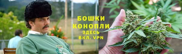 стафф Новодвинск